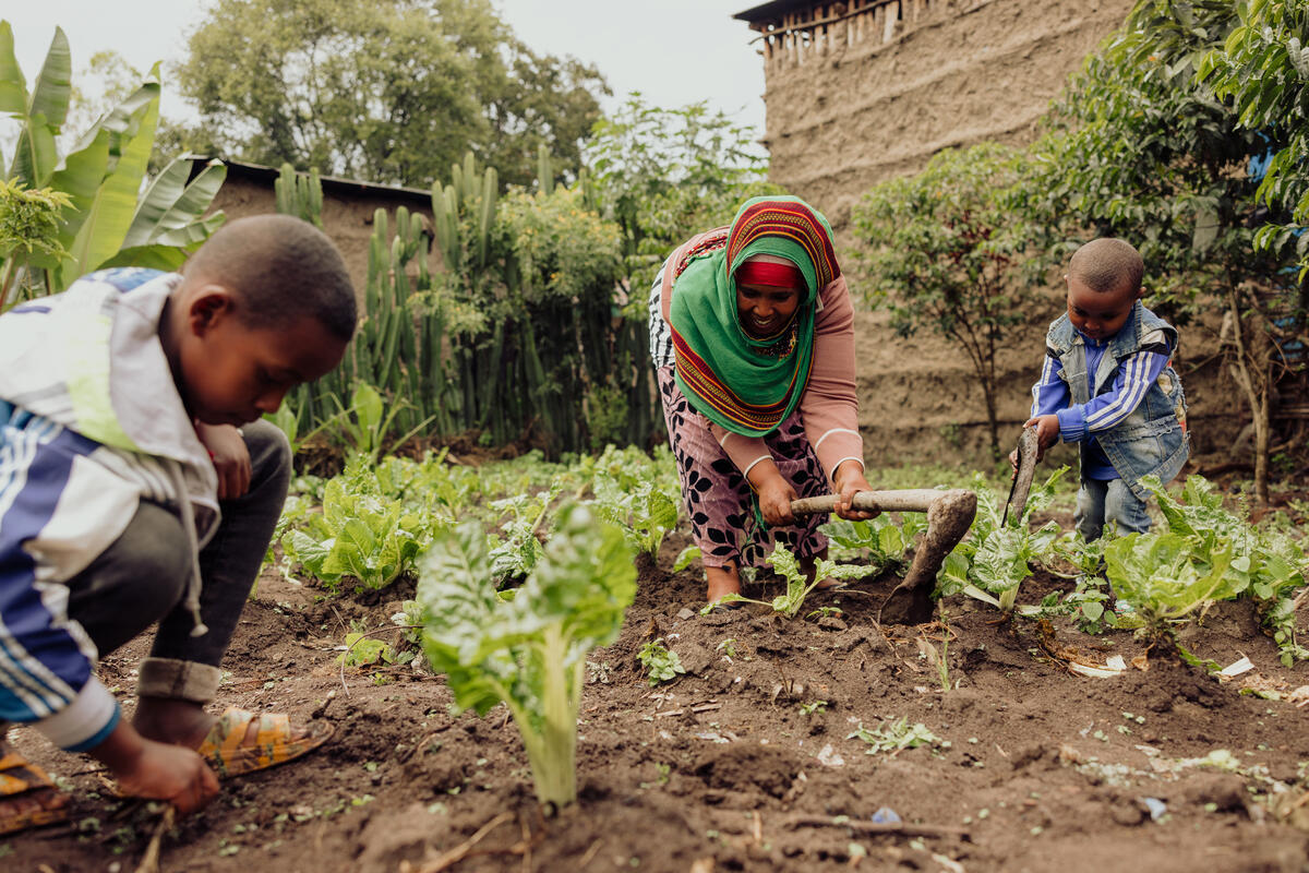 Mensur, Nuredin and Hindiya working in agriculture