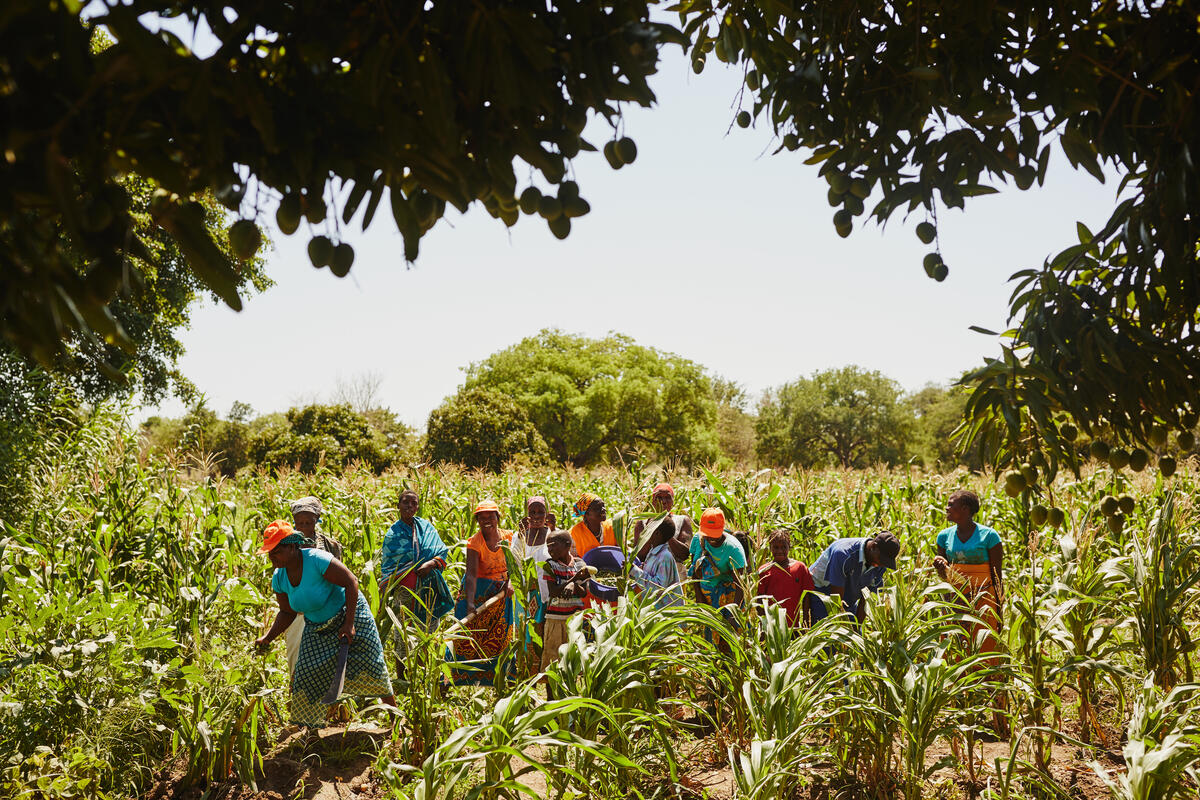 Women working in agriculture 