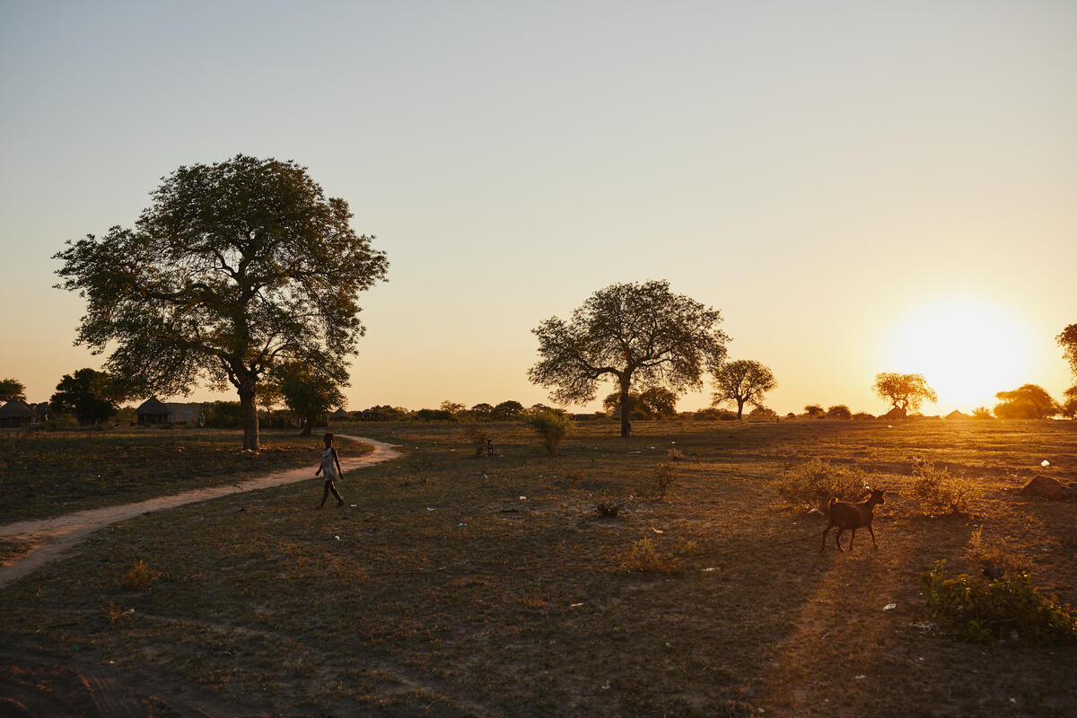 Landscape view