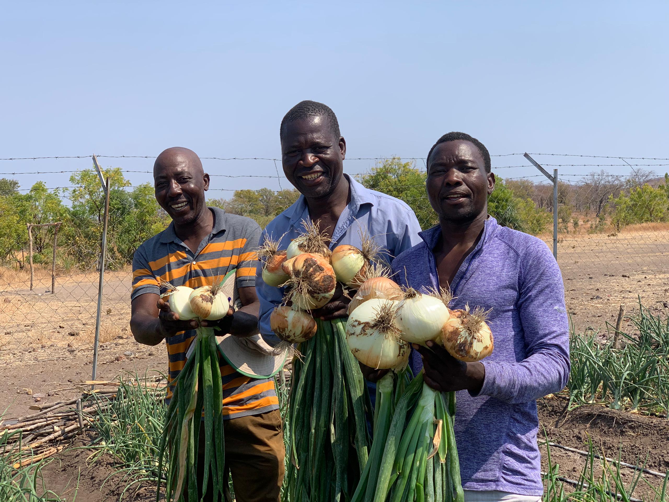 How Nutrition Gardens in Kariba District Are Transforming Lives