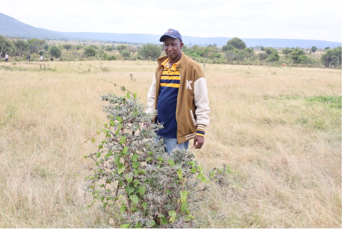 Peter Nkoile, a village elder and lead farmer from Eluai, stands amidst his farm, showcasing the benefits of caring for indigenous trees while planting food crops. The trees provide better soil, windbreaks, firewood, and help mitigate climate change. © World Vision Photo/Felix Pilipili.