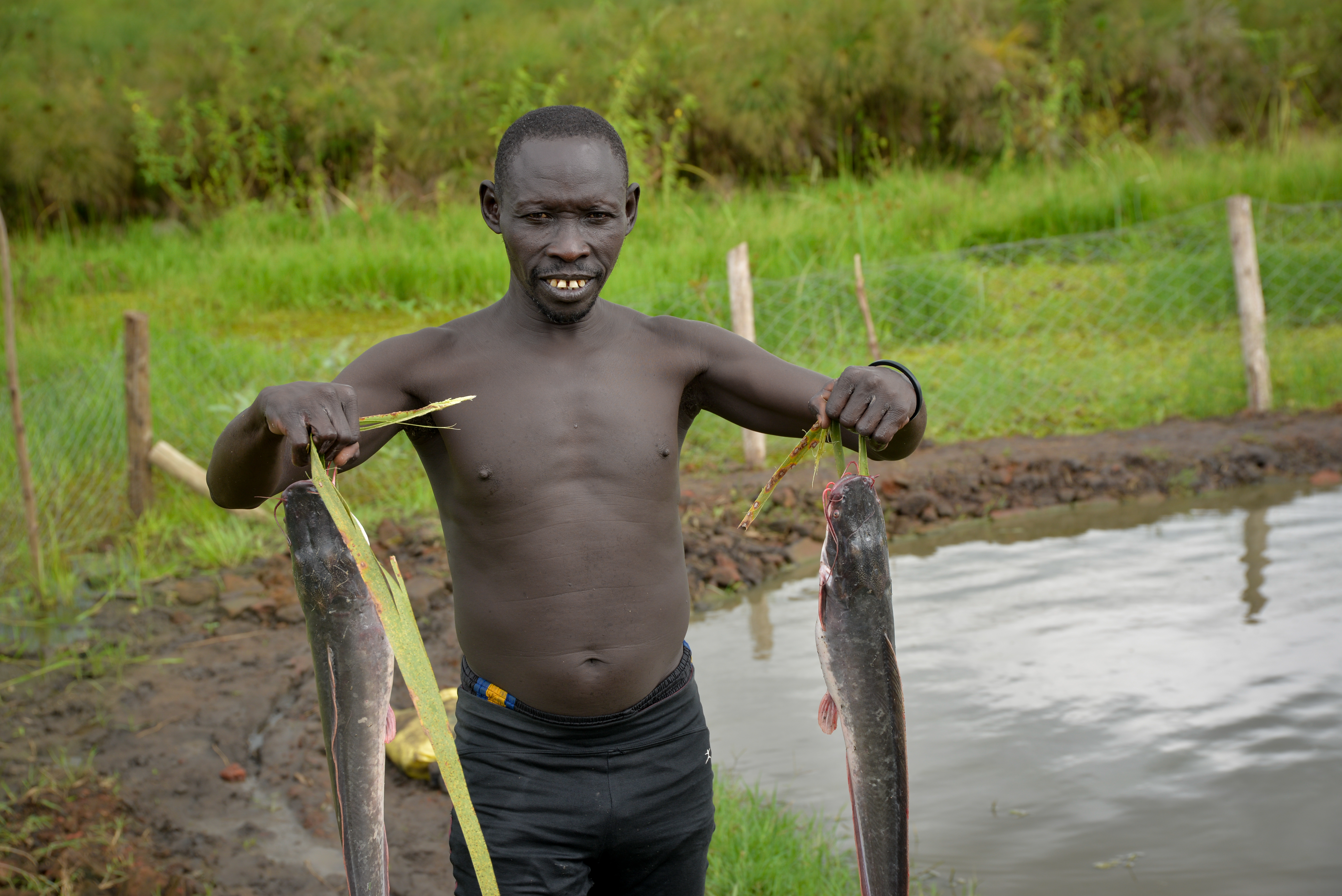 fish farming