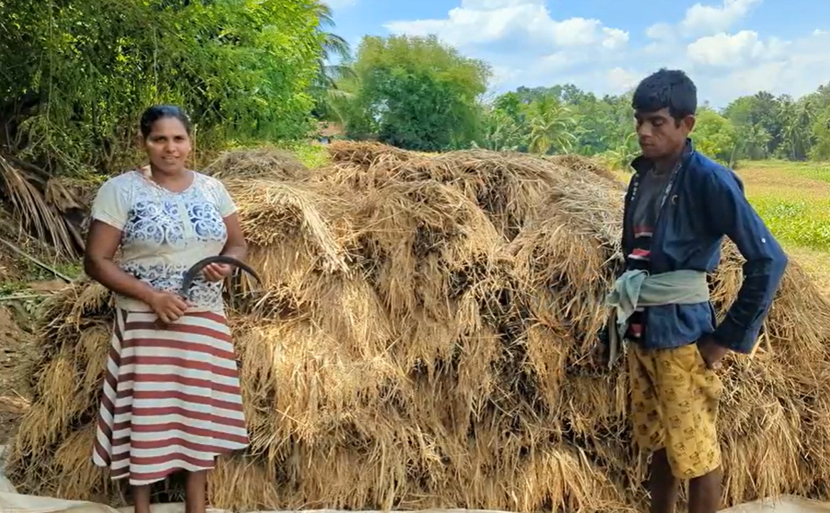 WVL_RISE Lanka_Paddy farmers