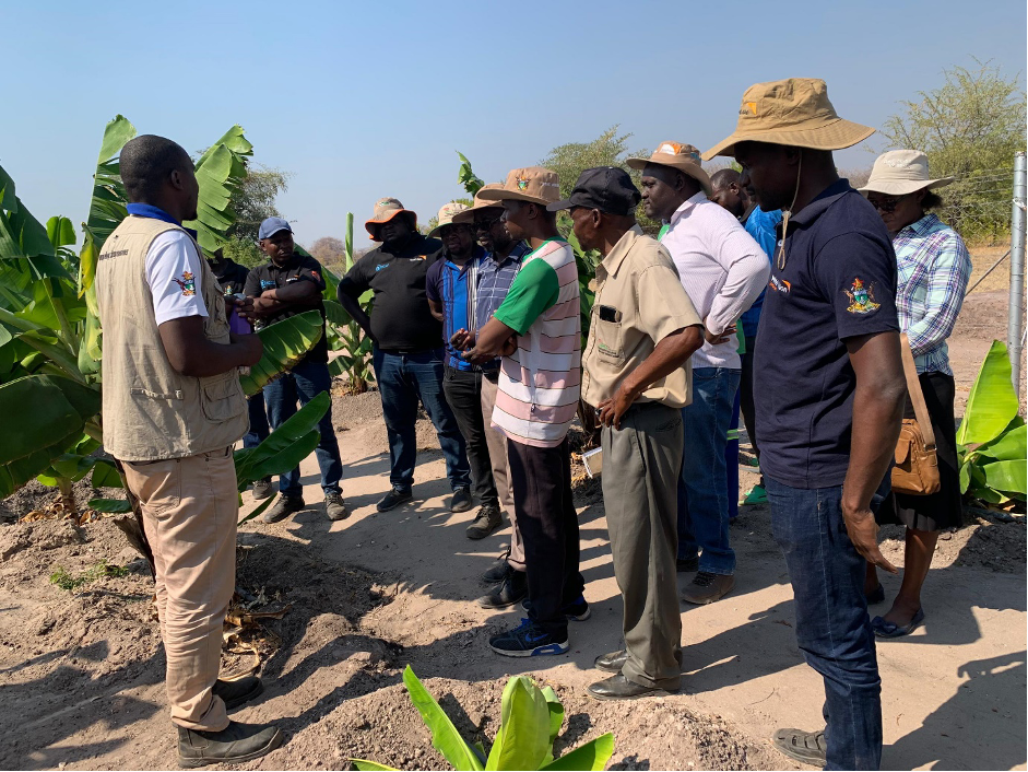 World Vision and Government of Zimbabwe stakeholders touring the banana plantation