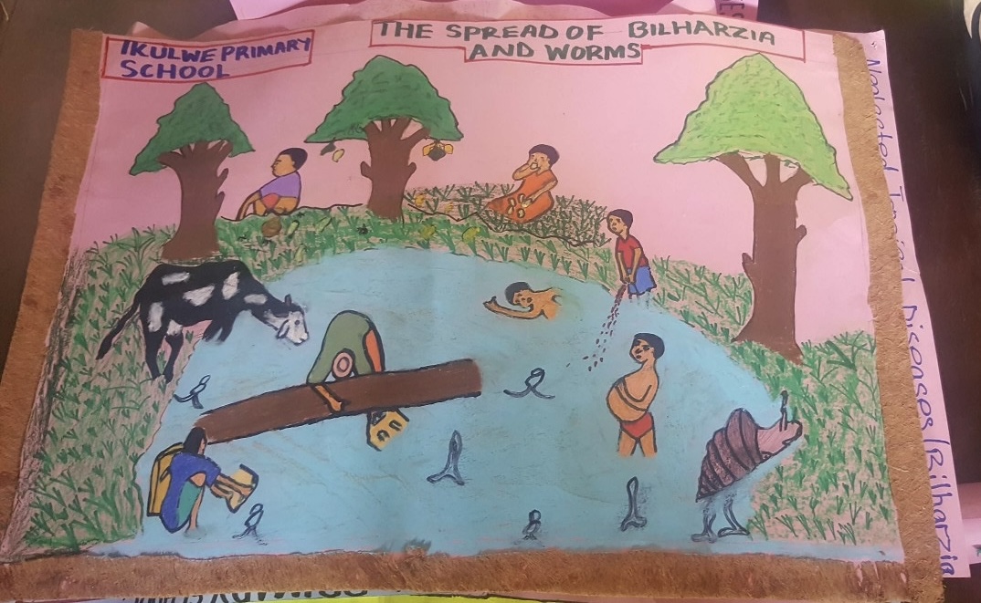 Student artwork and awareness: Student artwork submitted to a poster competition promoting awareness of schistosomiasis – also known as bilharzia or snail fever – among schoolchildren in Mayuge District.