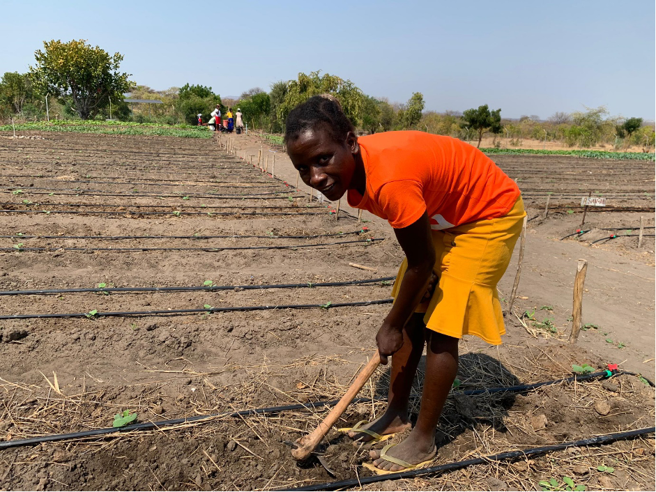 How Nutrition Gardens in Kariba District Are Transforming Lives