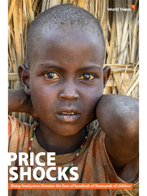 Price Shocks Global Report