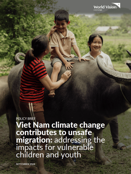 Policy Brief: Viet Nam climate change contributes to unsafe migration: addressing the impacts for vulnerable children and youth