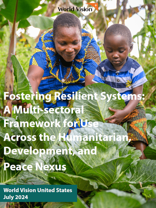 Fostering Resilient Systems: A Multi-sectoral Framework for Use Across the Humanitarian, Development, and Peace Nexus