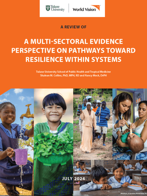 A Review of Multi-Sectoral Evidence Perspective on Pathways Toward Resilience Within Systems