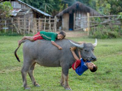 Livelihood development impact in East Asia