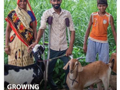 Growing Disability Inclusiveness in Agriculture_Cover