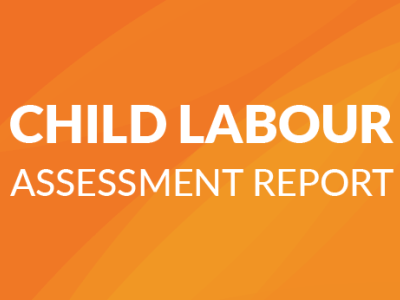 Child Labour Assessment Report