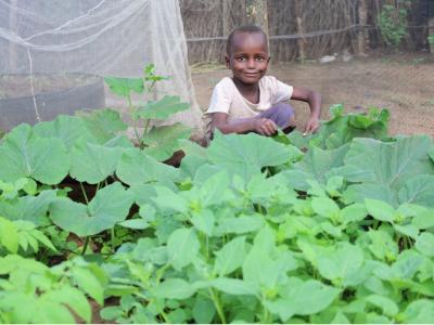 A young boy named Ikasukoot, age eleven, stands proudly beside a vibrant garden filled with various vegetables. He is one of the children benefiting from the K-DREAM Project, which supports families in practicing kitchen gardening. This initiative helps ensure that children like Ikasukoot have access to a balanced diet to combat malnutrition. © World Vision Photo/Felix Pilipili