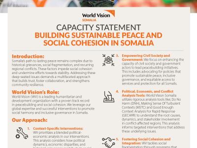 Peace Building Capacity Statement 