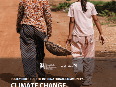 Climate Change, vulnerability and migration policy brief cover