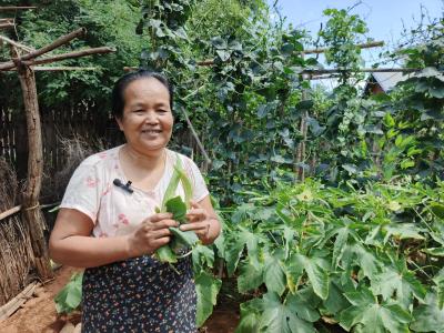 Thidar and her farm