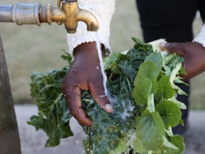 El Niño Emergency Response to Combat Food Insecurity in Lesotho