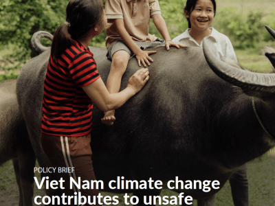 Policy Brief: Viet Nam climate change contributes to unsafe migration: addressing the impacts for vulnerable children and youth