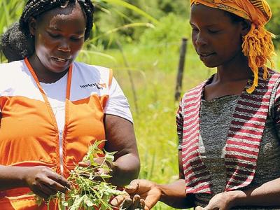 World Vision worker explains FMNR to a woman