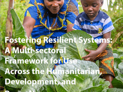 Fostering Resilient Systems: A Multi-sectoral Framework for Use Across the Humanitarian, Development, and Peace Nexus