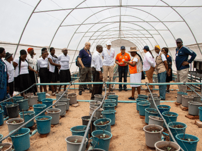 Board Members monitoring the green house