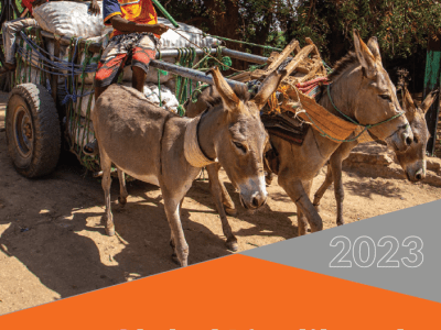 Global Livelihoods Sector Annual Report 2023