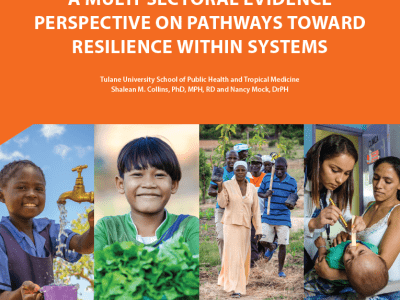 A Review of Multi-Sectoral Evidence Perspective on Pathways Toward Resilience Within Systems