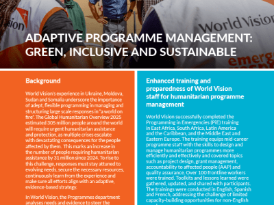 Adaptive programme management