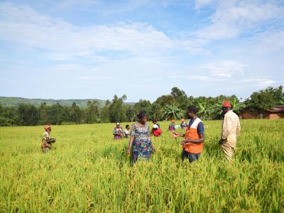 Women in the field