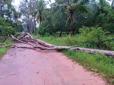 Heavy rains and strong winds are already reported in the provinces of Nampula and Zambezia.