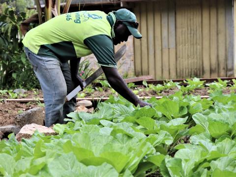 Nutrition project provides life skills in Backyard gardening. (1).jpg