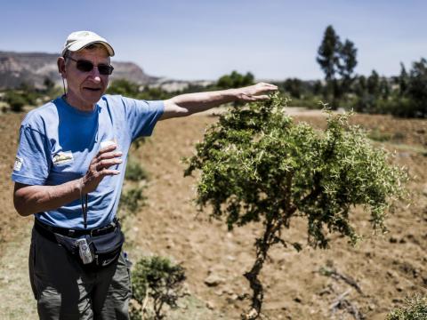 Tony Rinaudo explains FMNR by tree