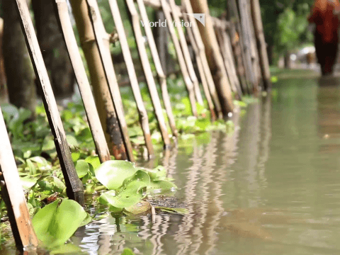 Present situation of flood in Bangladesh 2019