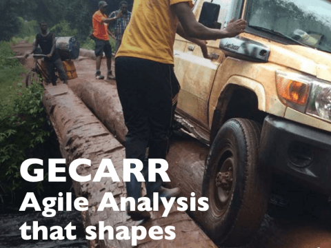 GECARR Agile Analysis that Shapes Action cover