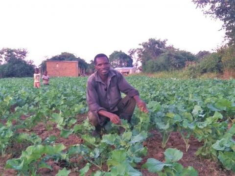 Cosmas in his field