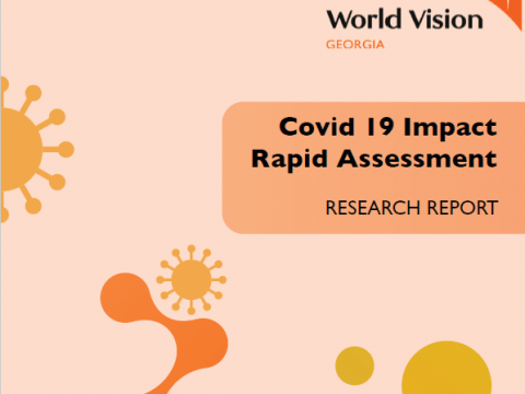 COVID 19 Impact Assessment 2020