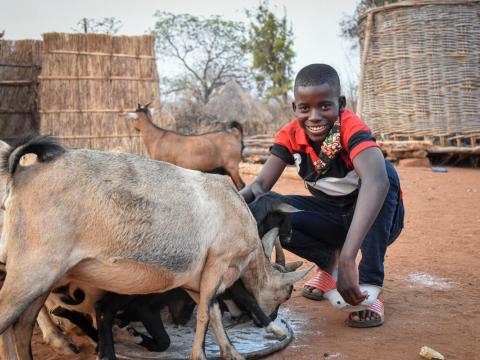 Sponsored child with goats in Mali