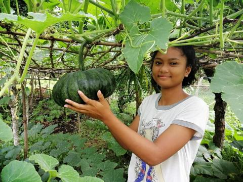 Tools and training curb hunger in the Philippines_image