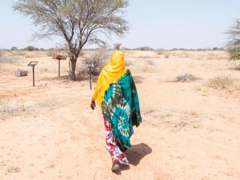 Somalia tree planting