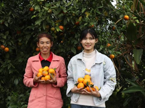 AsiaPacific