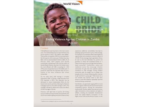 Policy Brief: Ending violence against children in Zambia