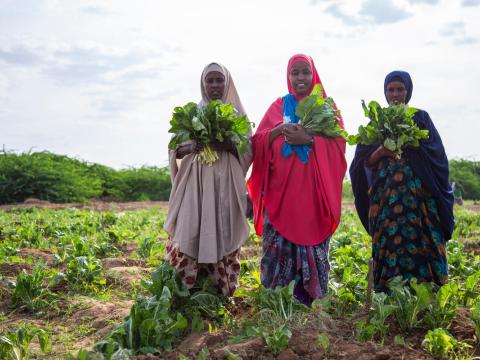 Kabasa farm, Dollow, Irrigation, River Juba, World Water Day