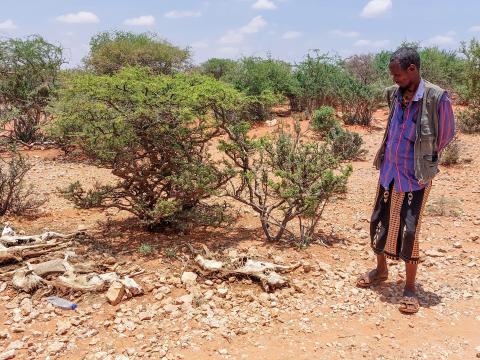 Drought, Migration, Pastoralists, Somalia, 