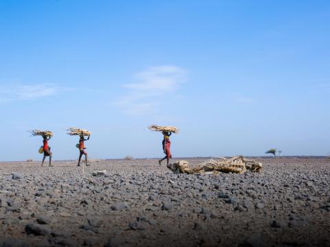 People carrying sticks across an arid land