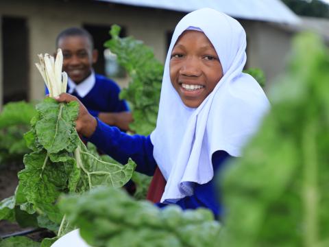 School children at their garden