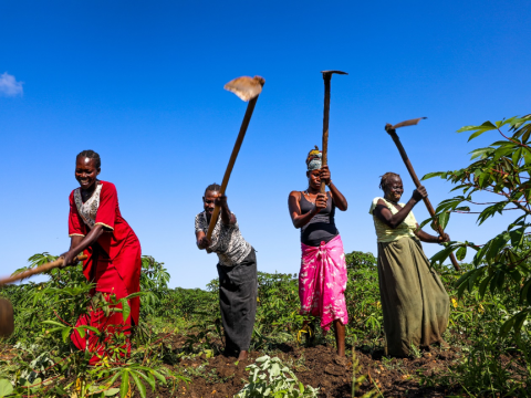 World Vision Uganda supports refugee families adopt block farming to improve food security. 