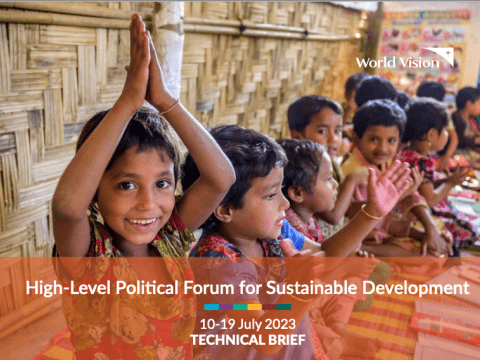 High-Level Political Forum for Sustainable Development Technical Brief 2023 Cover