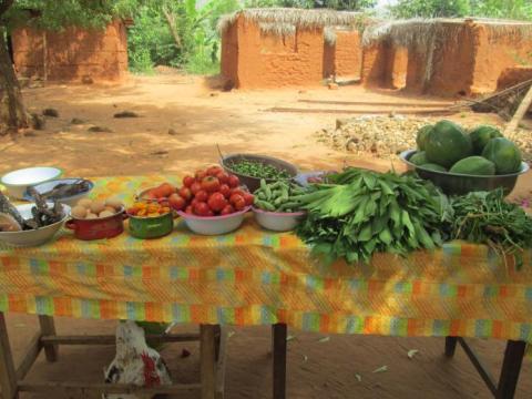 Nutrition Links: Building Capacity for Sustainable Livelihoods in Ghana