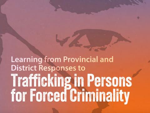 Trafficking in Persons for Forced Criminality